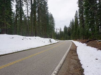 8517 Big Creek Road, Bucks Lake, CA 95956 Photo
