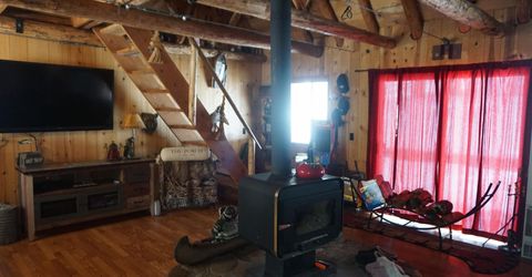 8517 Big Creek Road, Bucks Lake, CA 95956 Photo