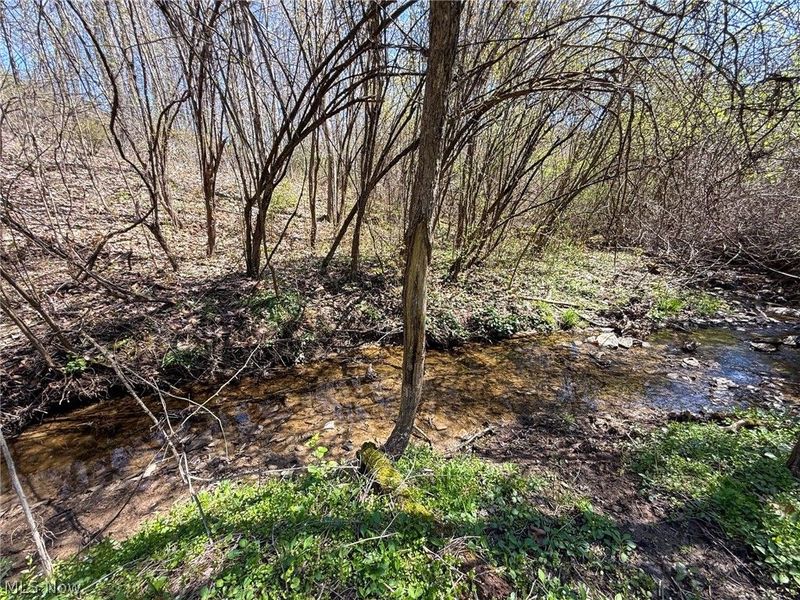 Claysville Rd, Cumberland, OH 43732 Photo 10