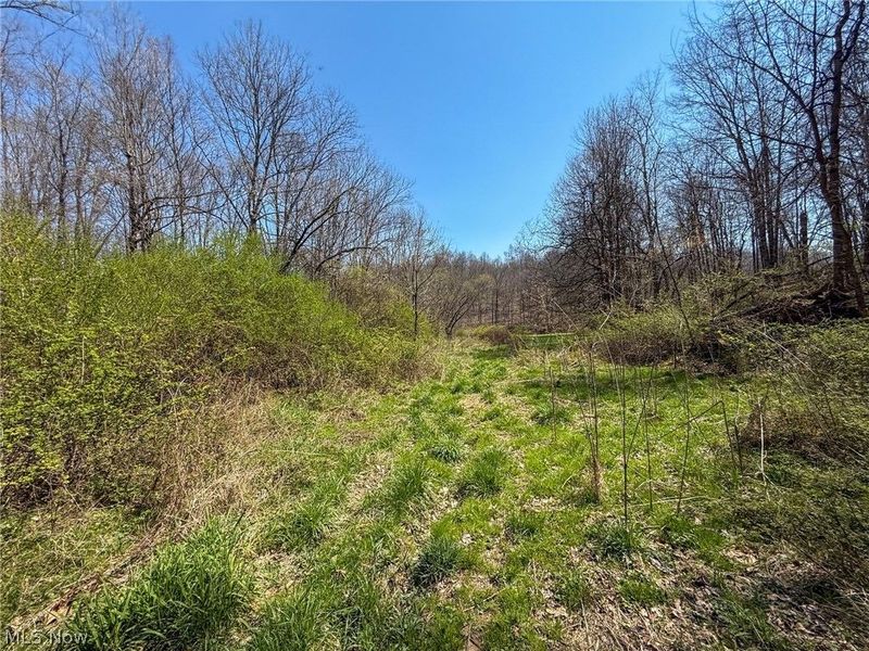 Claysville Rd, Cumberland, OH 43732 Photo 12