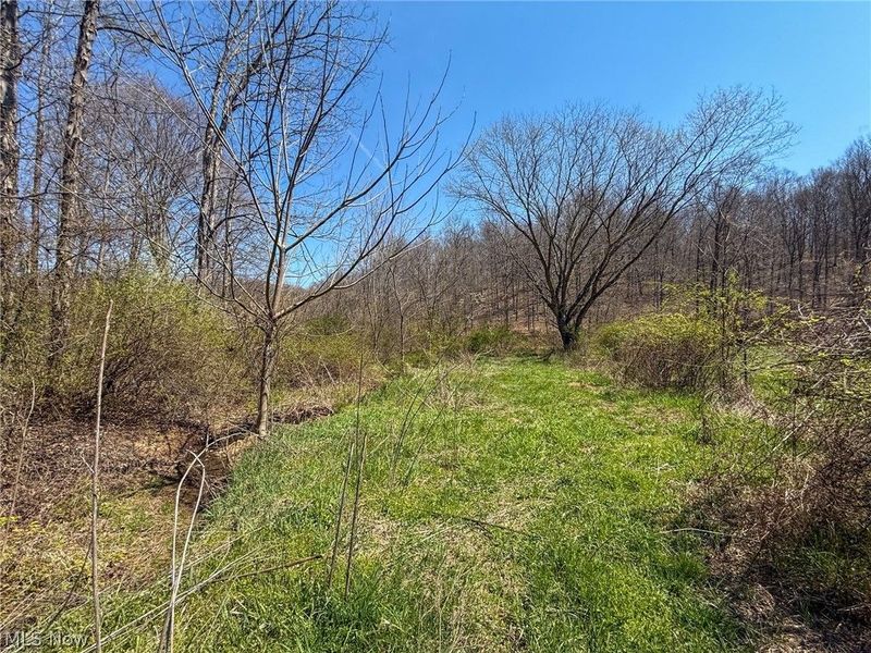 Claysville Rd, Cumberland, OH 43732 Photo 13