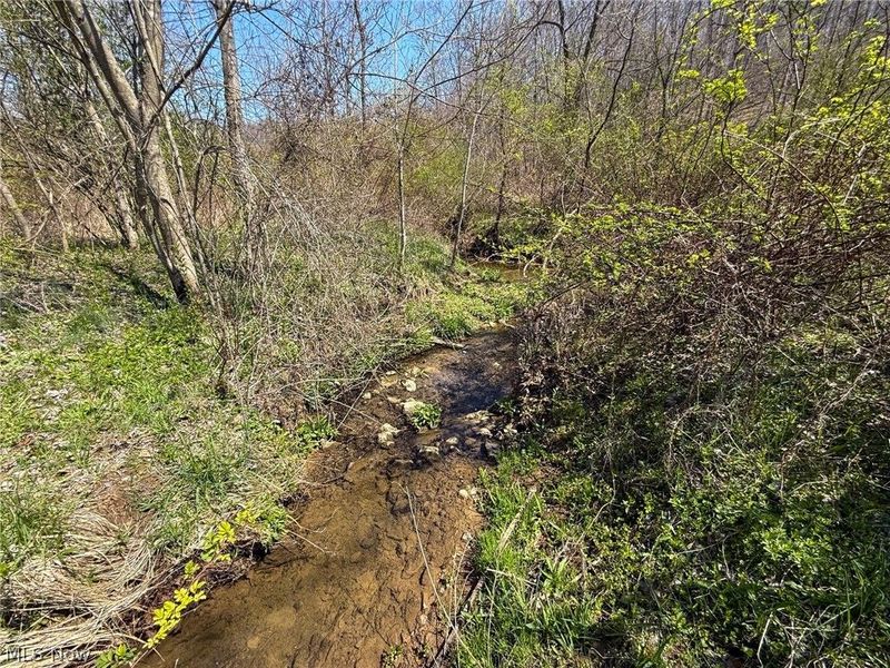 Claysville Rd, Cumberland, OH 43732 Photo 14