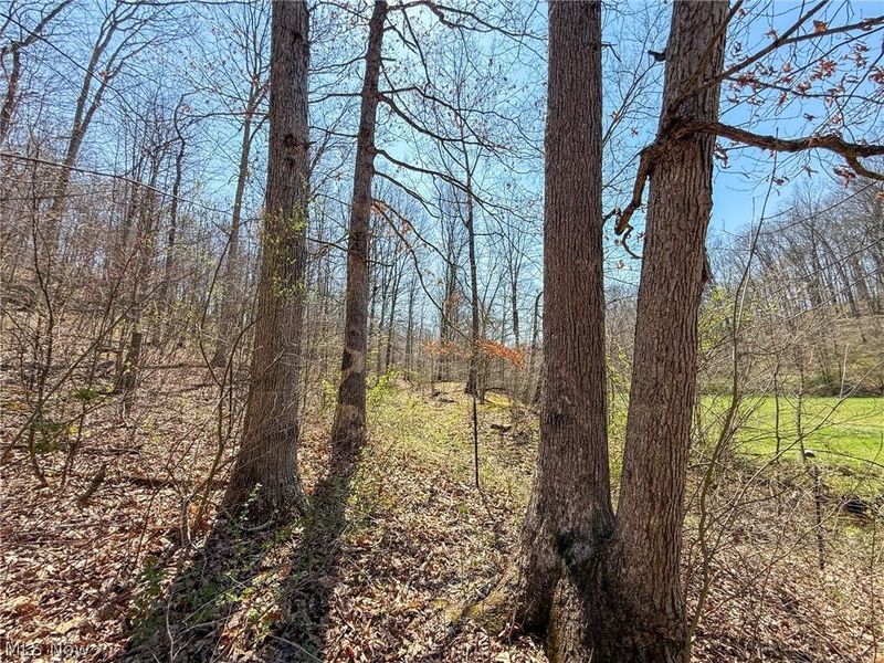 Claysville Rd, Cumberland, OH 43732 Photo 16