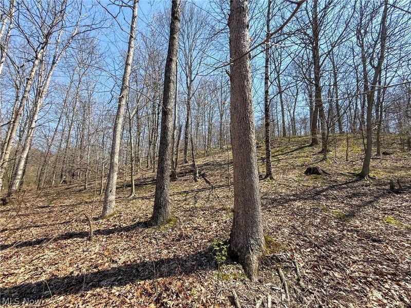 Claysville Rd, Cumberland, OH 43732 Photo 18