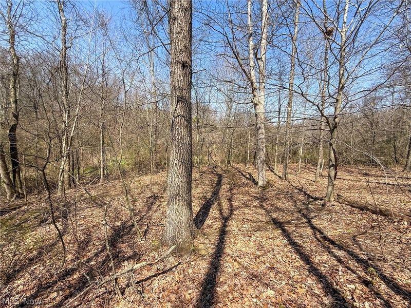 Claysville Rd, Cumberland, OH 43732 Photo 19