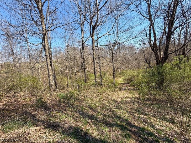 Claysville Rd, Cumberland, OH 43732 Photo 2