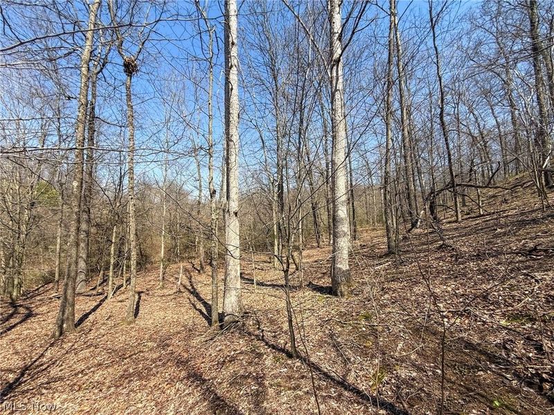 Claysville Rd, Cumberland, OH 43732 Photo 20