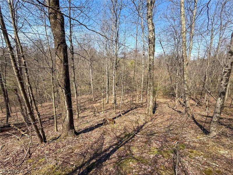 Claysville Rd, Cumberland, OH 43732 Photo 21