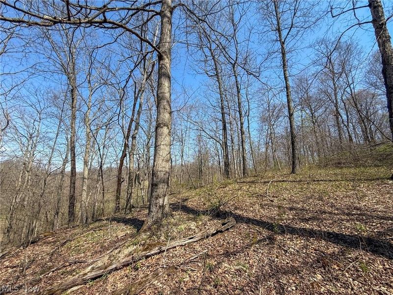 Claysville Rd, Cumberland, OH 43732 Photo 22