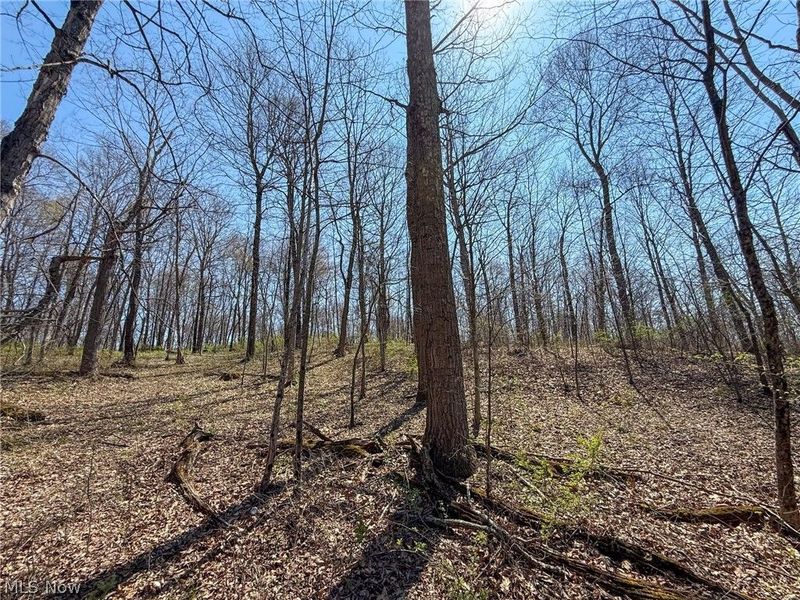 Claysville Rd, Cumberland, OH 43732 Photo 23