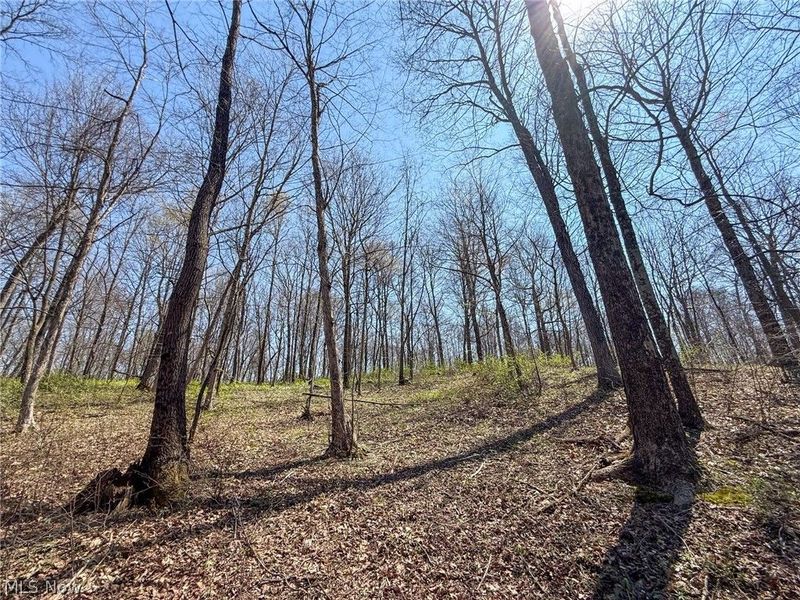 Claysville Rd, Cumberland, OH 43732 Photo 24