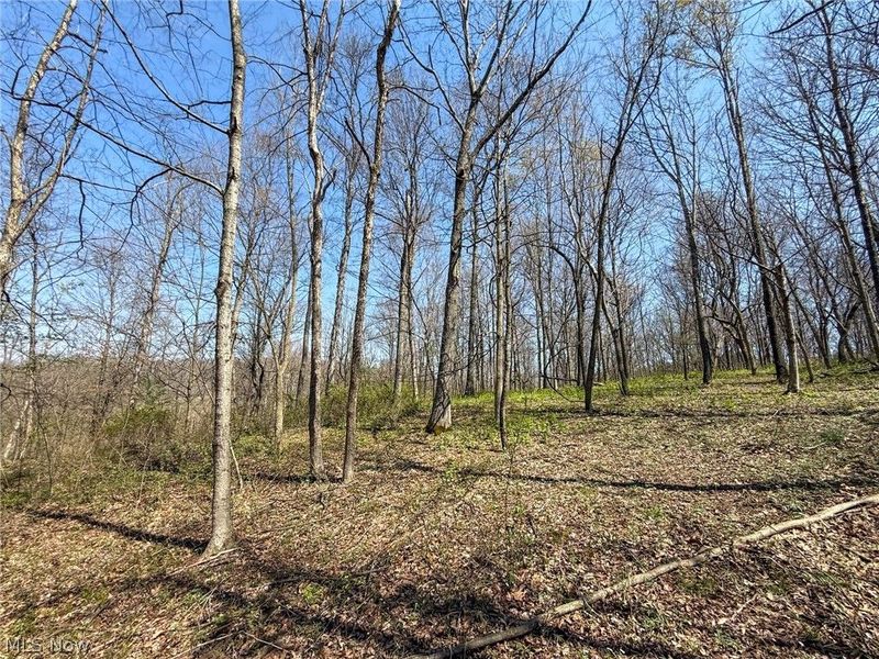 Claysville Rd, Cumberland, OH 43732 Photo 25