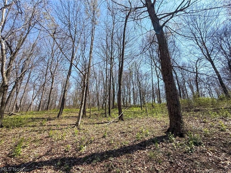 Claysville Rd, Cumberland, OH 43732 Photo 26