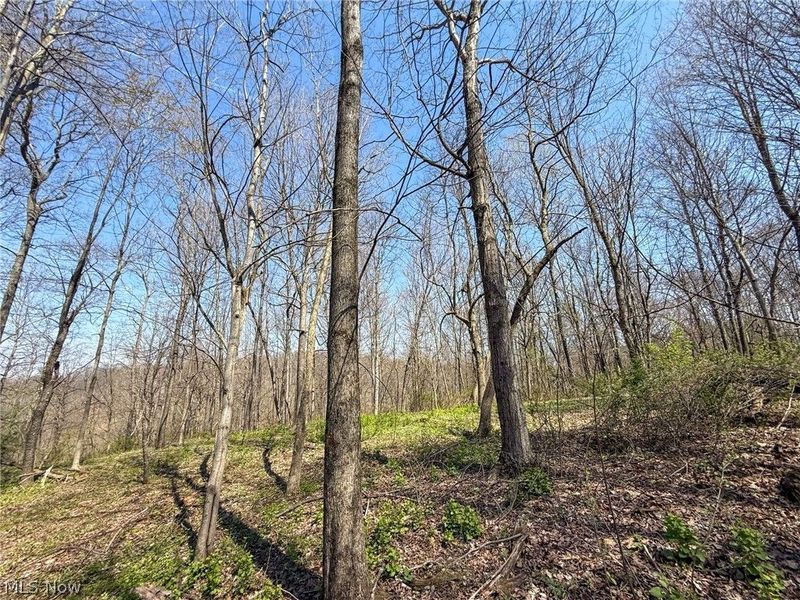 Claysville Rd, Cumberland, OH 43732 Photo 27