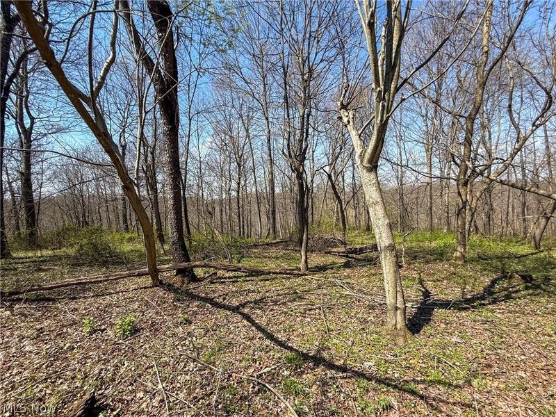 Claysville Rd, Cumberland, OH 43732 Photo 28