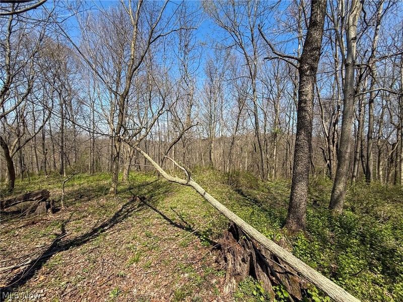 Claysville Rd, Cumberland, OH 43732 Photo 29