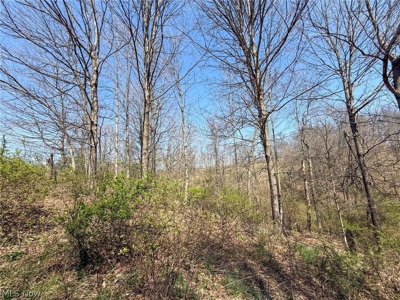 Claysville Rd, Cumberland, OH 43732 Photo 3