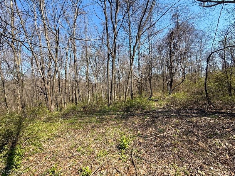 Claysville Rd, Cumberland, OH 43732 Photo 30