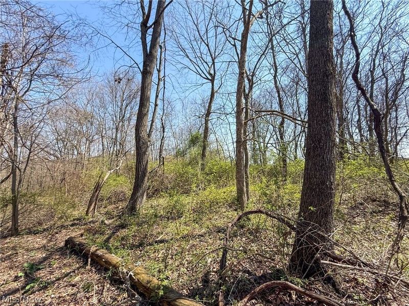 Claysville Rd, Cumberland, OH 43732 Photo 31