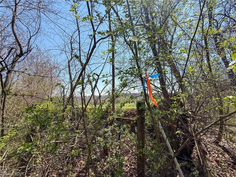 Claysville Rd, Cumberland, OH 43732 Photo 32