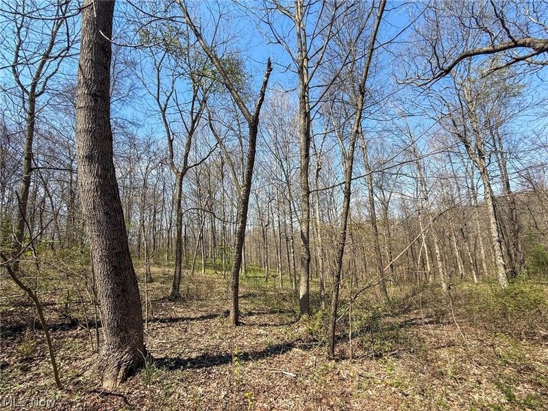 Claysville Rd, Cumberland, OH 43732 Photo 33