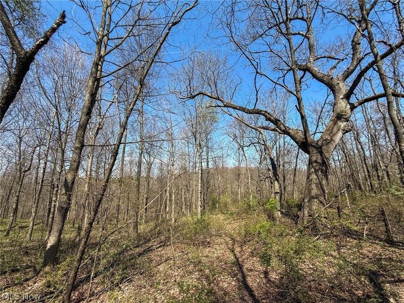 Claysville Rd, Cumberland, OH 43732 Photo 34