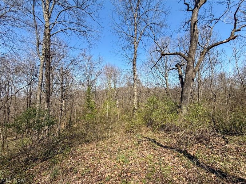 Claysville Rd, Cumberland, OH 43732 Photo 35