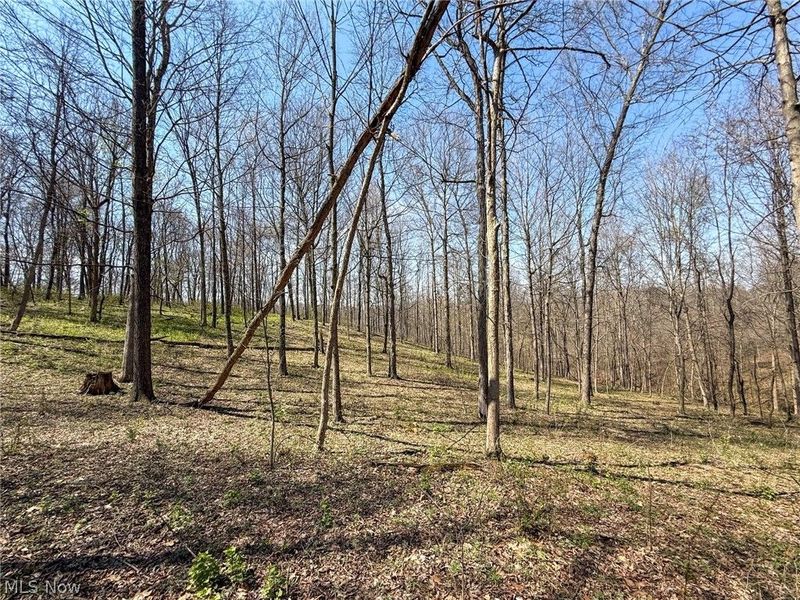 Claysville Rd, Cumberland, OH 43732 Photo 36