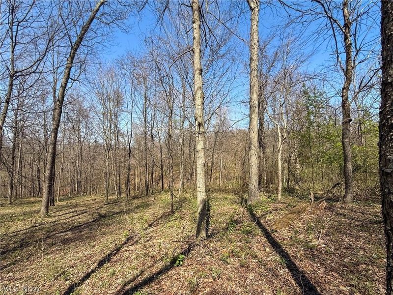 Claysville Rd, Cumberland, OH 43732 Photo 37