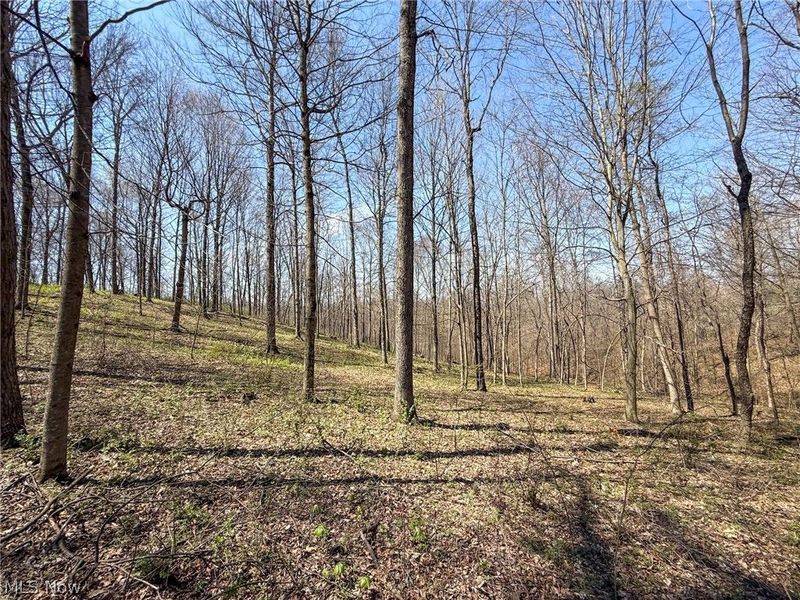 Claysville Rd, Cumberland, OH 43732 Photo 38