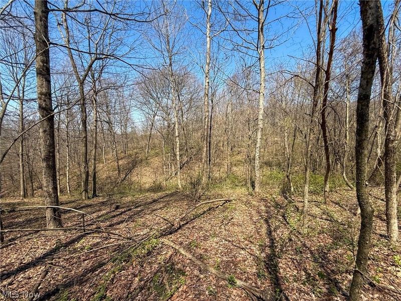 Claysville Rd, Cumberland, OH 43732 Photo 39