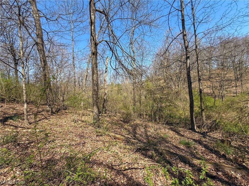 Claysville Rd, Cumberland, OH 43732 Photo 4