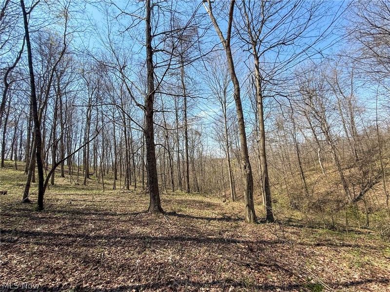 Claysville Rd, Cumberland, OH 43732 Photo 40