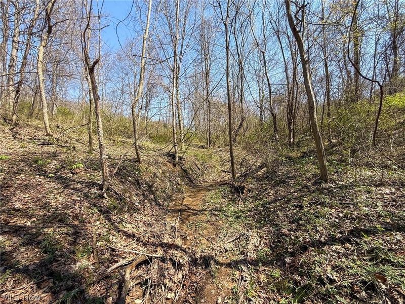 Claysville Rd, Cumberland, OH 43732 Photo 41