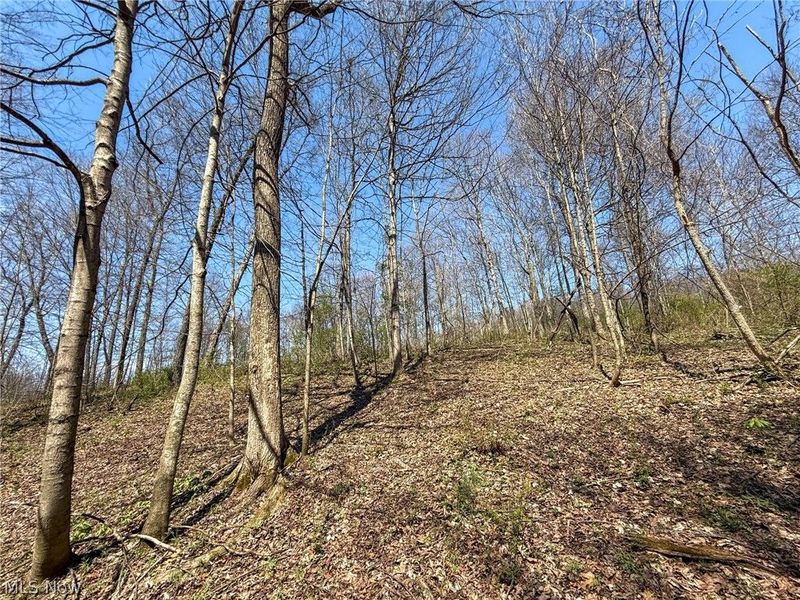 Claysville Rd, Cumberland, OH 43732 Photo 42