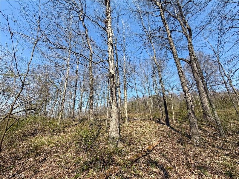 Claysville Rd, Cumberland, OH 43732 Photo 43