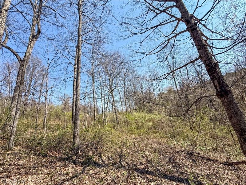 Claysville Rd, Cumberland, OH 43732 Photo 44