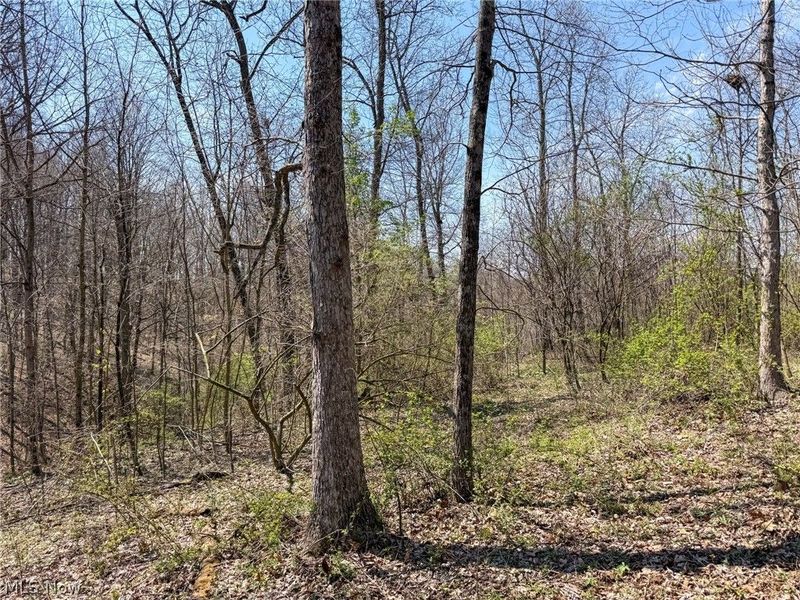 Claysville Rd, Cumberland, OH 43732 Photo 46