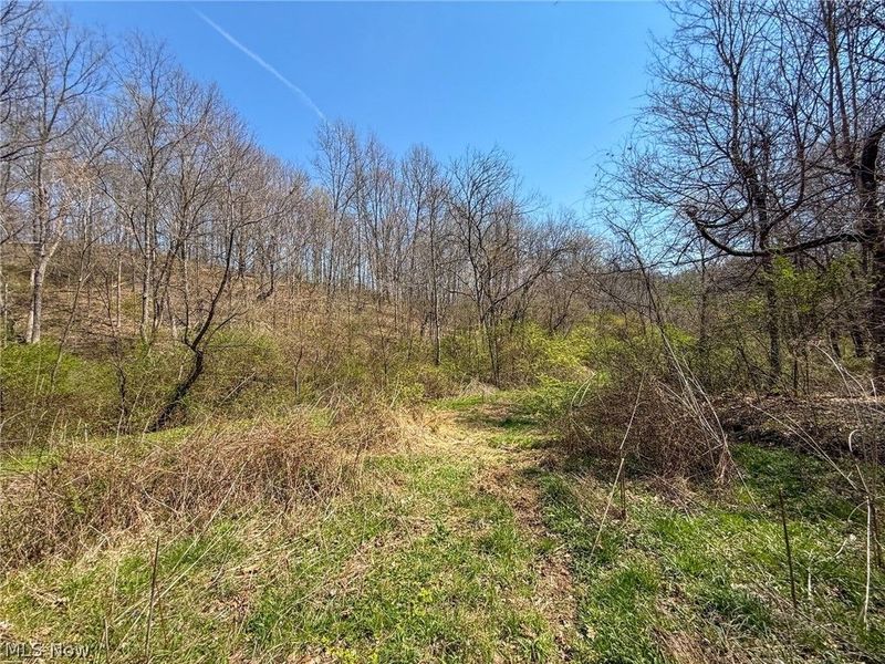 Claysville Rd, Cumberland, OH 43732 Photo 5