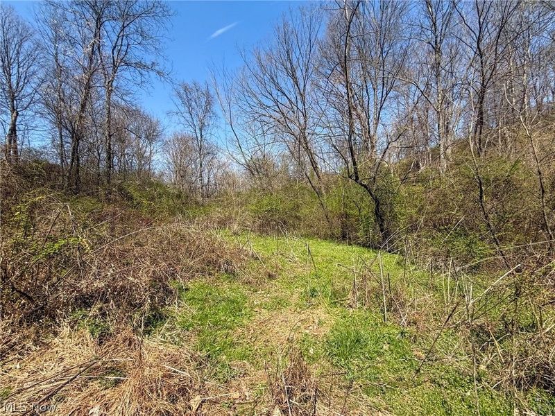 Claysville Rd, Cumberland, OH 43732 Photo 6