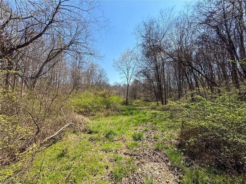 Claysville Rd, Cumberland, OH 43732 Photo 7