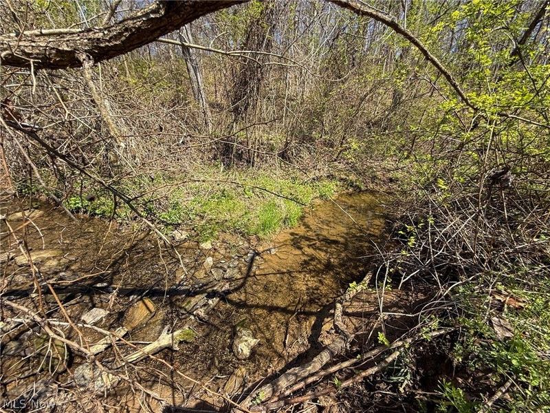 Claysville Rd, Cumberland, OH 43732 Photo 8