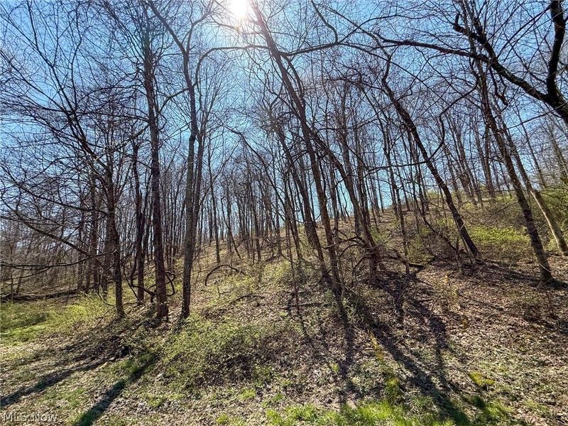 Claysville Rd, Cumberland, OH 43732 Photo 9