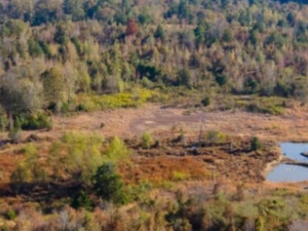 452-C Caney Valley Drive, Plummerville, AR 72127