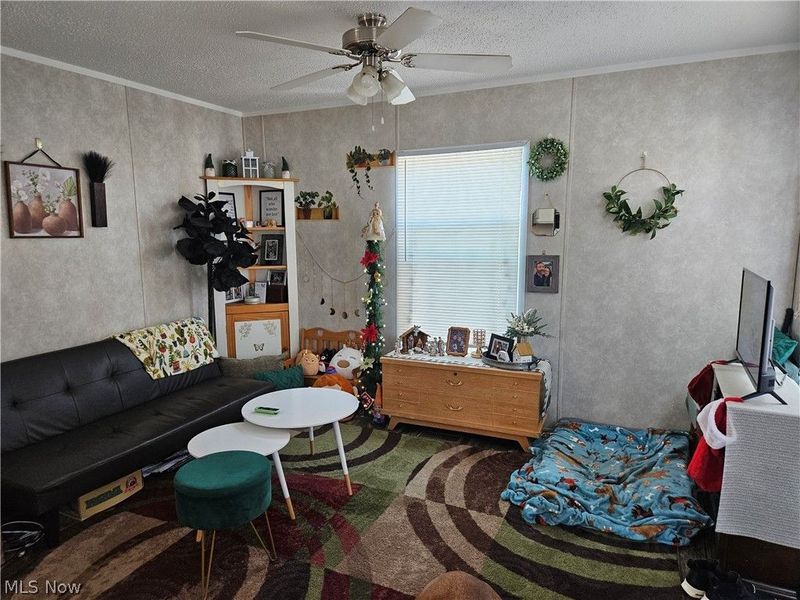 81 Hyland Drive, Akron, OH 44312 Photo 5