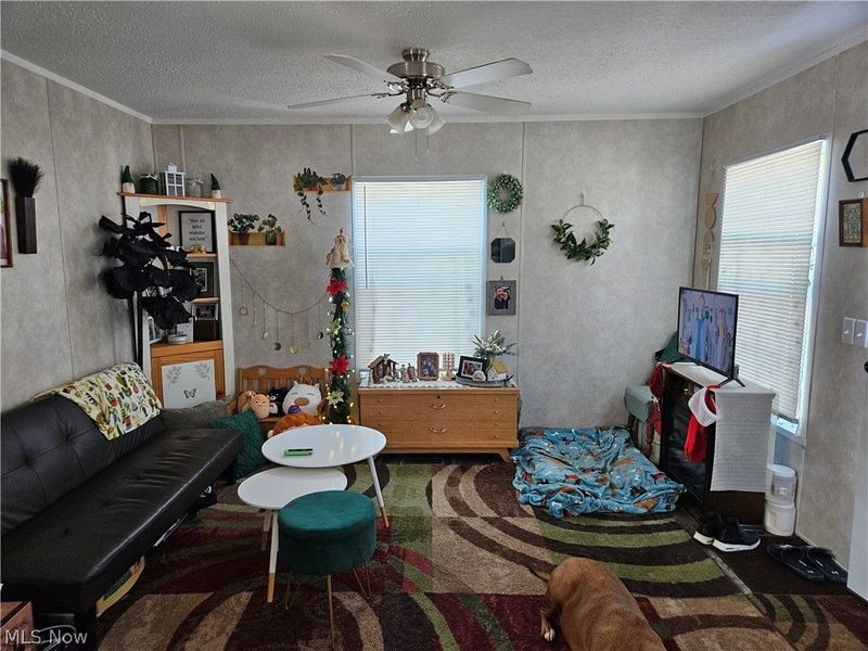 81 Hyland Drive, Akron, OH 44312 Photo 6