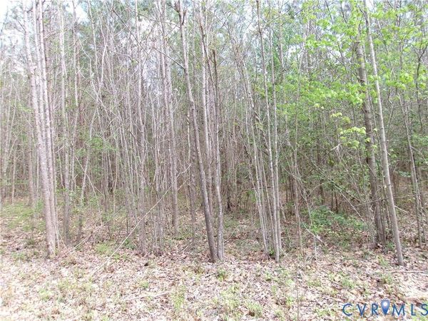 69-(6)-2 Lew Jones , DeWitt, VA 23840