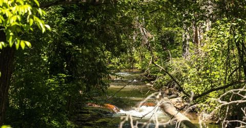 535 Mill St, Grass Valley, CA 95945 Photo