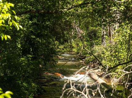 535 Mill St, Grass Valley, CA 95945 Photo