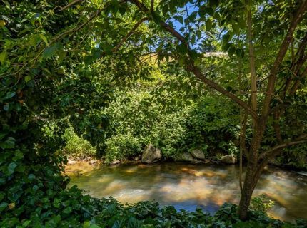 535 Mill St, Grass Valley, CA 95945 Photo